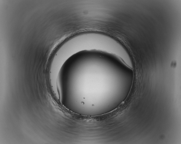 X0000115260395200911201710