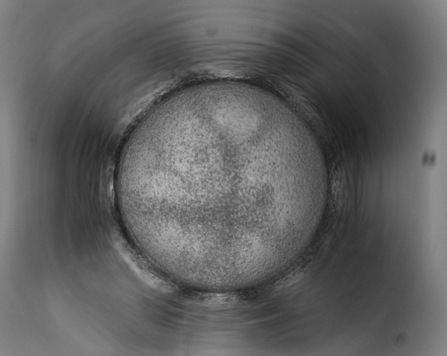 X0000115260398200911201710