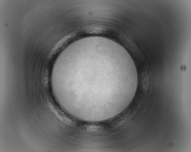 X0000115260400200911201710