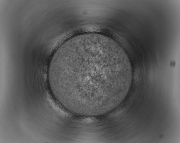 X0000115260402200911201710