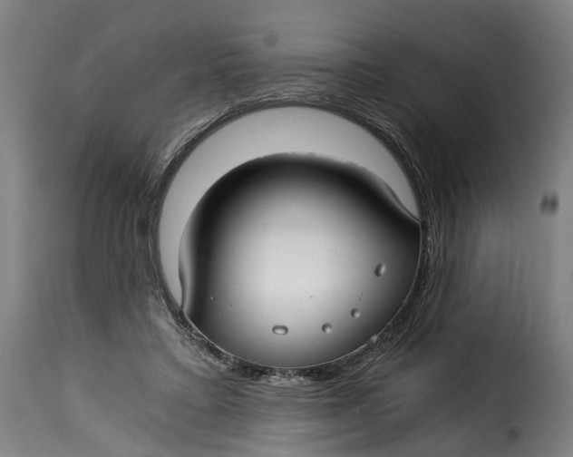 X0000115260403200911201710