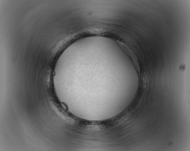 X0000115260404200911201710