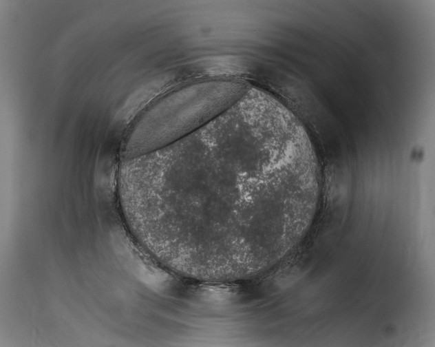 X0000115260405200911201710