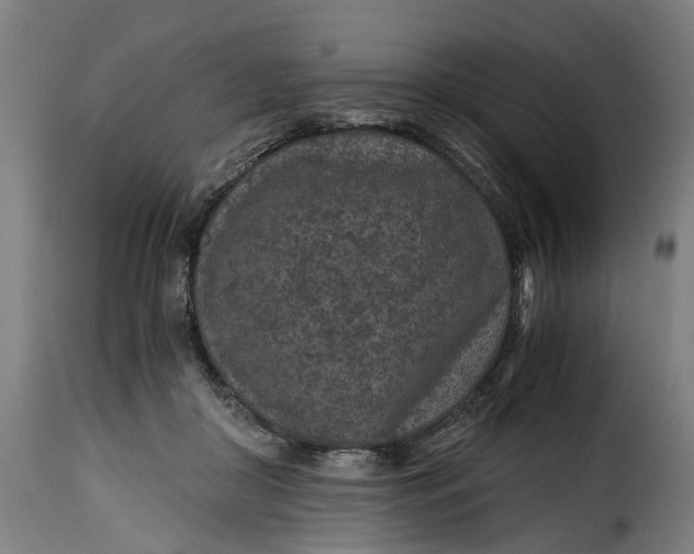 X0000115260410200911201710