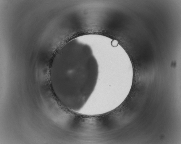 X0000115260411200911201710