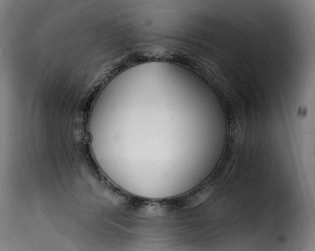 X0000115260416200911201710