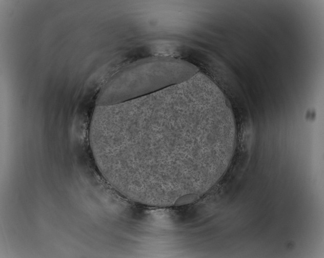 X0000115260417200911201710