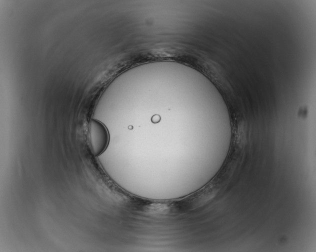 X0000115260418200911201710