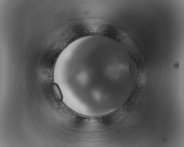 X0000115260419200911201710
