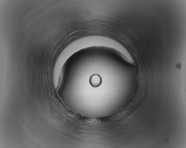 X0000115260421200911201710