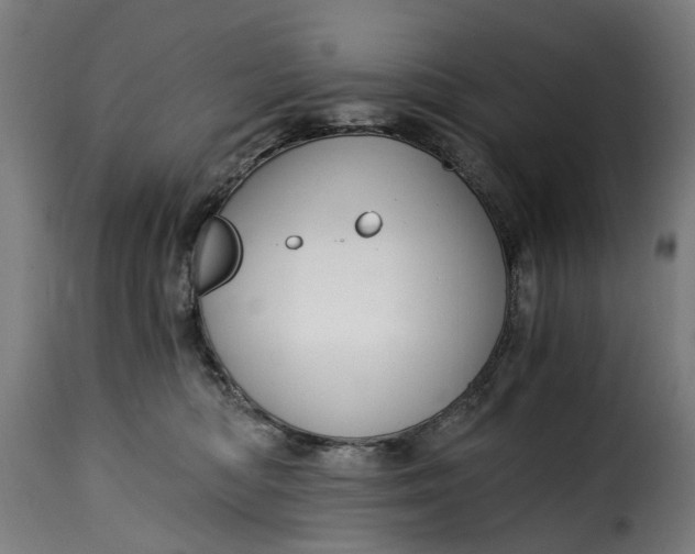 X0000115260422200911201710