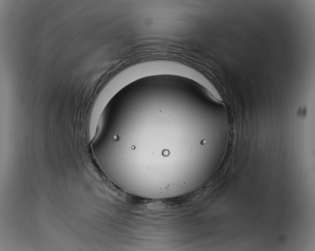 X0000115260423200911201710