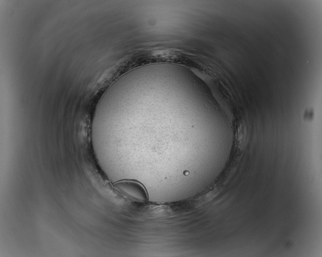 X0000115260424200911201710