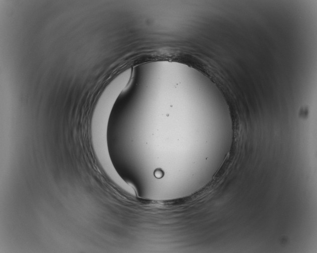 X0000115260425200911201710