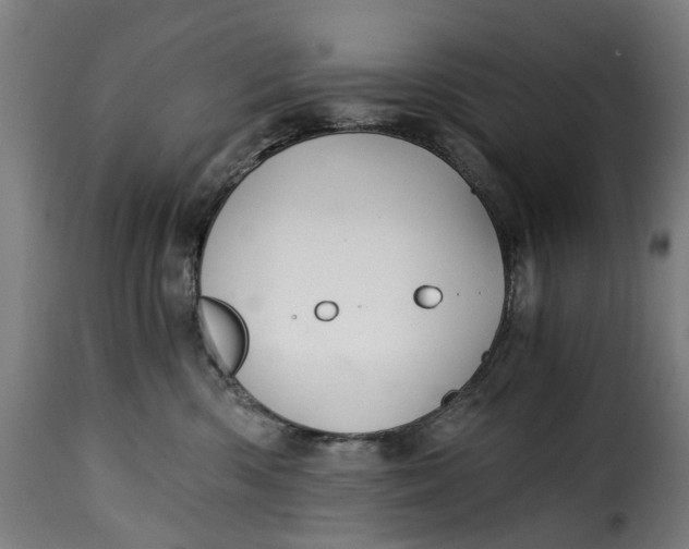 X0000115260426200911201710