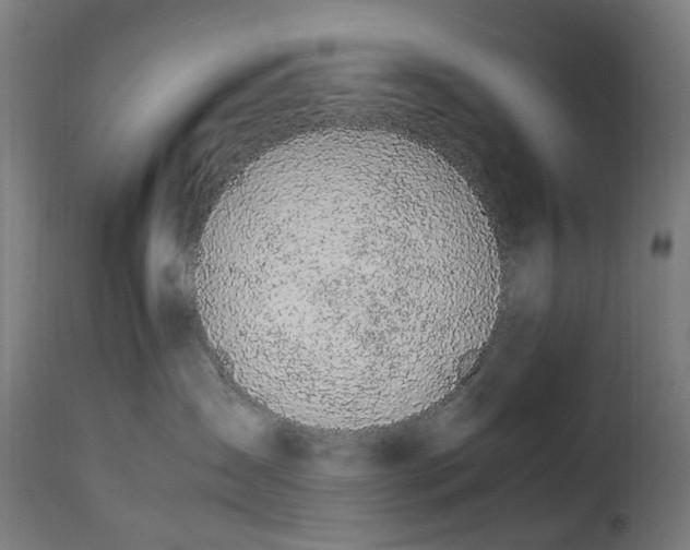 X0000115260431200911201710