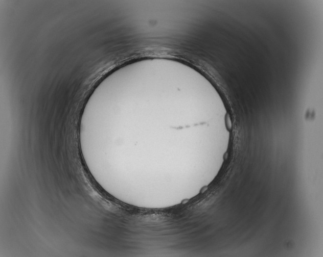 X0000115260433200911201709