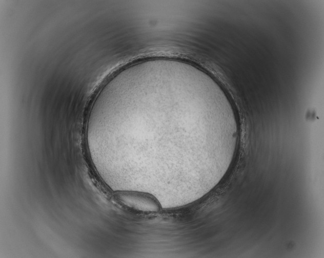 X0000115260434200911201709