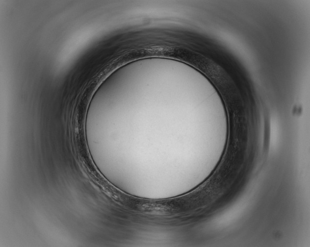 X0000115260435200911201709