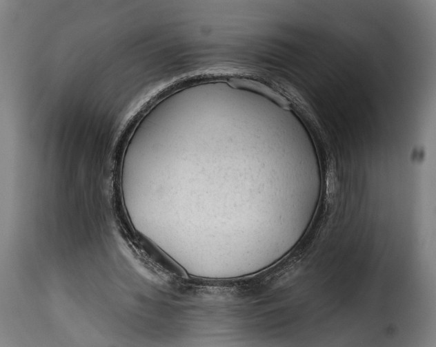 X0000115260436200911201709