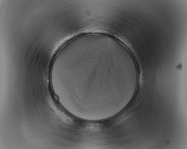 X0000115260438200911201709