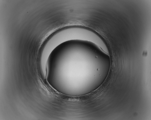 X0000115260440200911201709