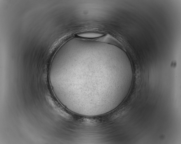 X0000115260442200911201709