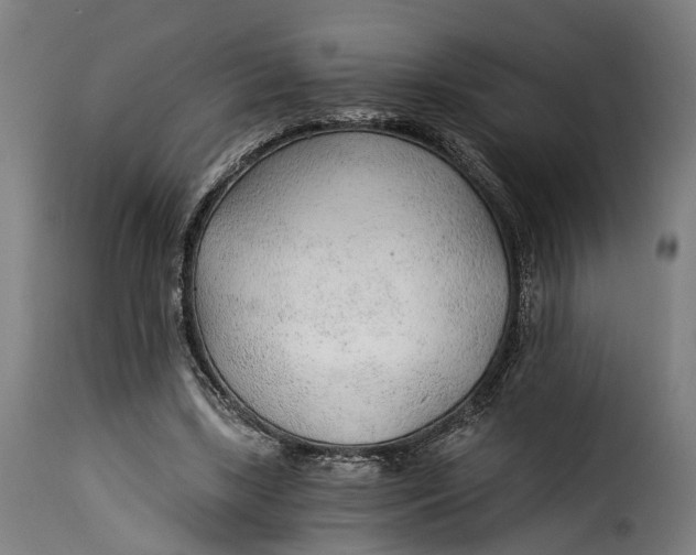 X0000115260443200911201709