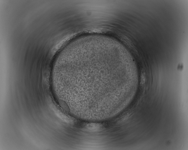 X0000115260444200911201709