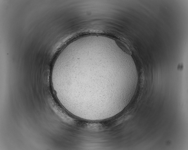 X0000115260446200911201709