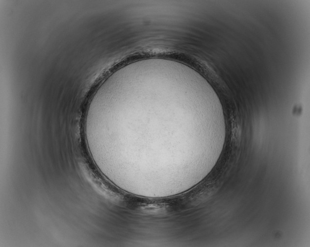 X0000115260447200911201709