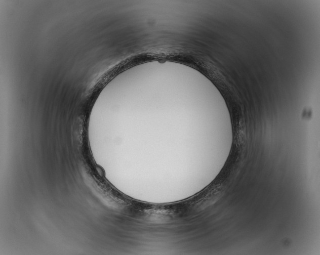 X0000115260448200911201709