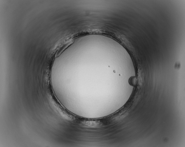 X0000115260449200911201709