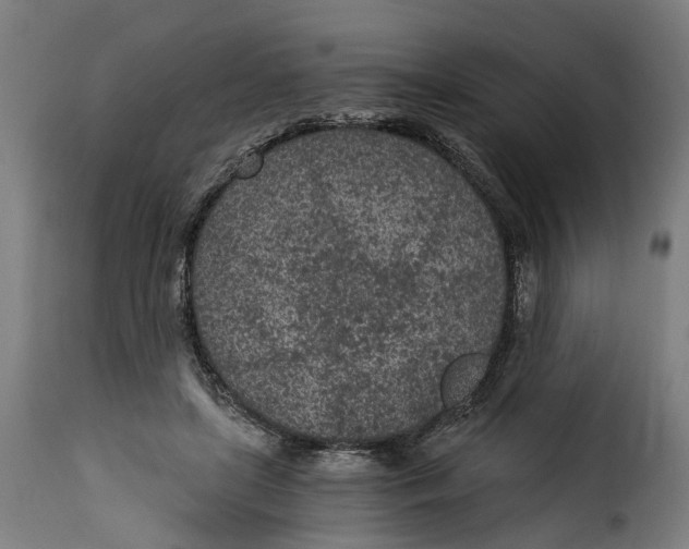 X0000115260451200911201709