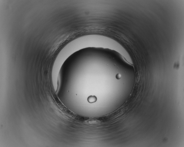 X0000115260452200911201709