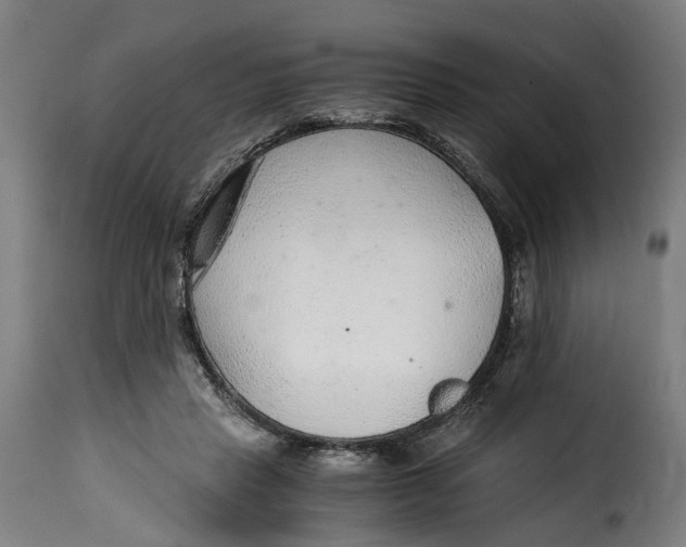 X0000115260453200911201709