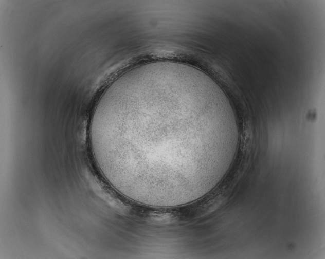 X0000115260454200911201709