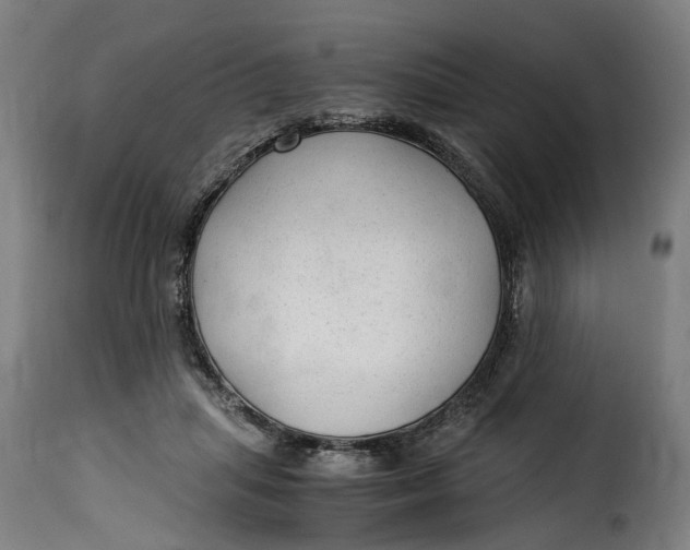 X0000115260455200911201709