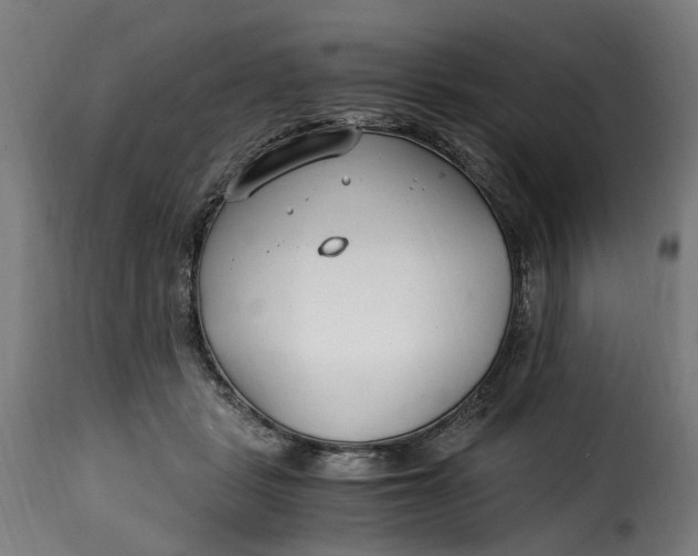 X0000115260461200911201710