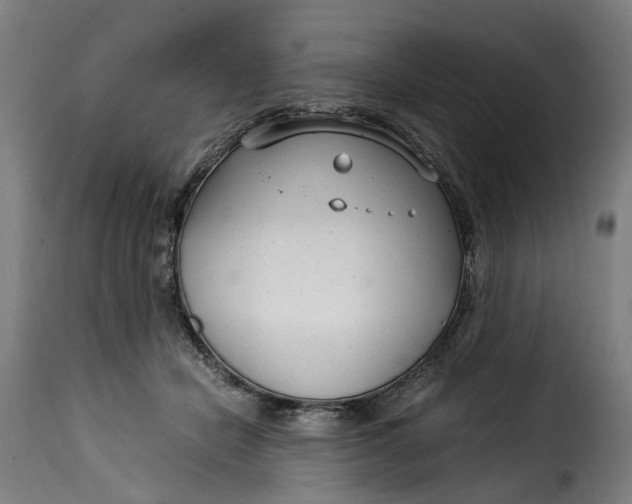 X0000115260462200911201710