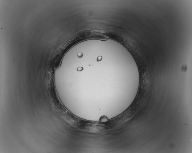 X0000115260463200911201710