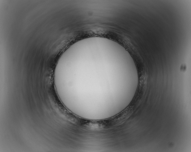 X0000115260464200911201710