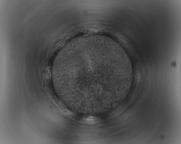 X0000115260467200911201710