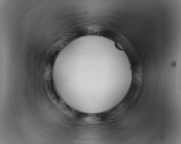 X0000115260468200911201710