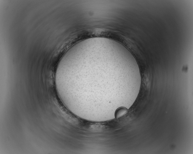 X0000115260470200911201710