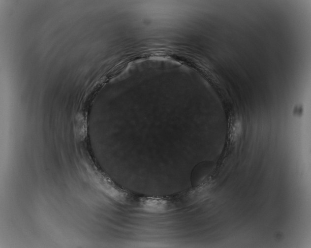 X0000115260471200911201710
