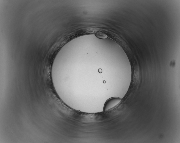 X0000115260473200911201710