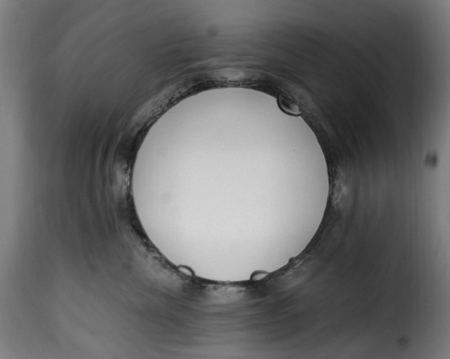 X0000115260476200911201710