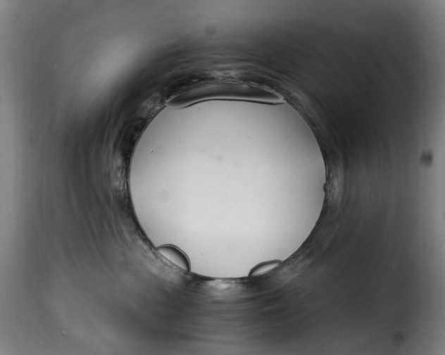 X0000115260477200911201710