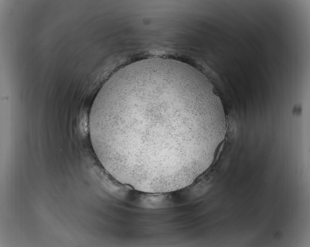 X0000115260479200911201710